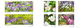 Jennifer MacLean - 55 Years of Watercolour and Weaving